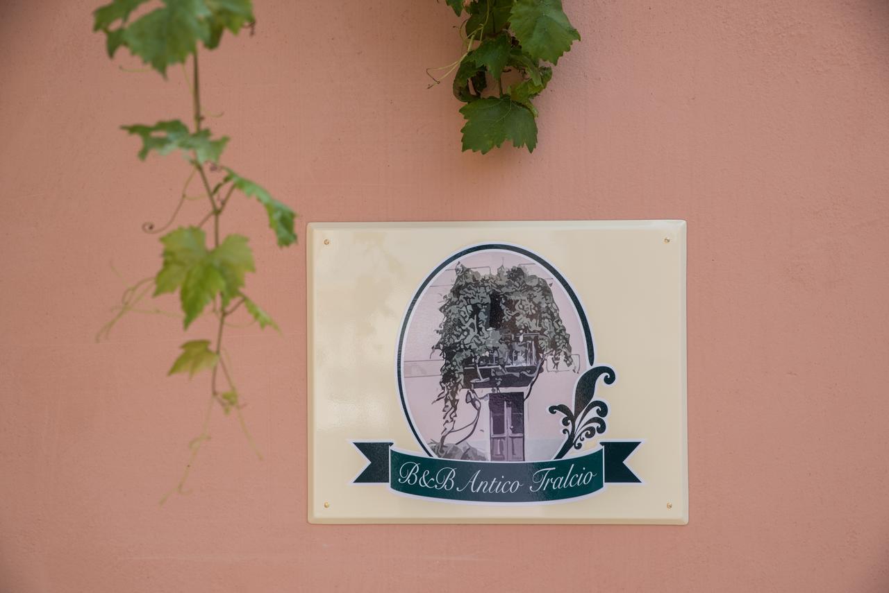 B&B Antico Tralcio Antignano  Dış mekan fotoğraf